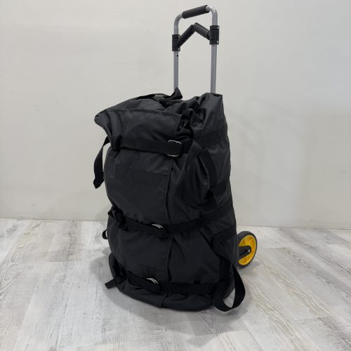 Carrying case